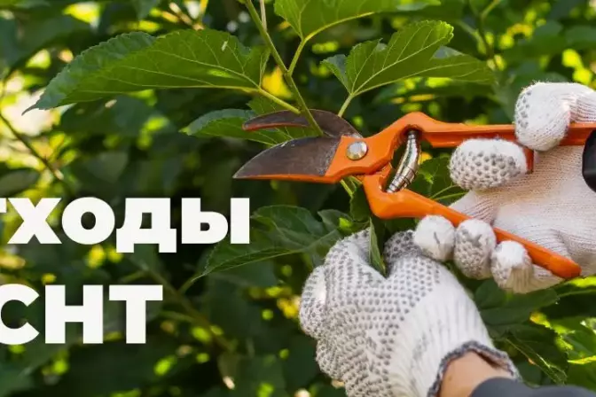Отходы СНТ: паспорта и отчет 2-ТП Отходы