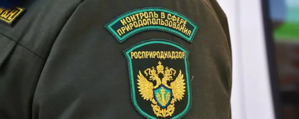 Риск-ориентированный подход в экологическом надзоре